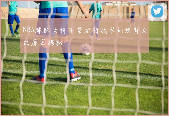 NBA球队为何不常进行战术训练背后的原因揭秘